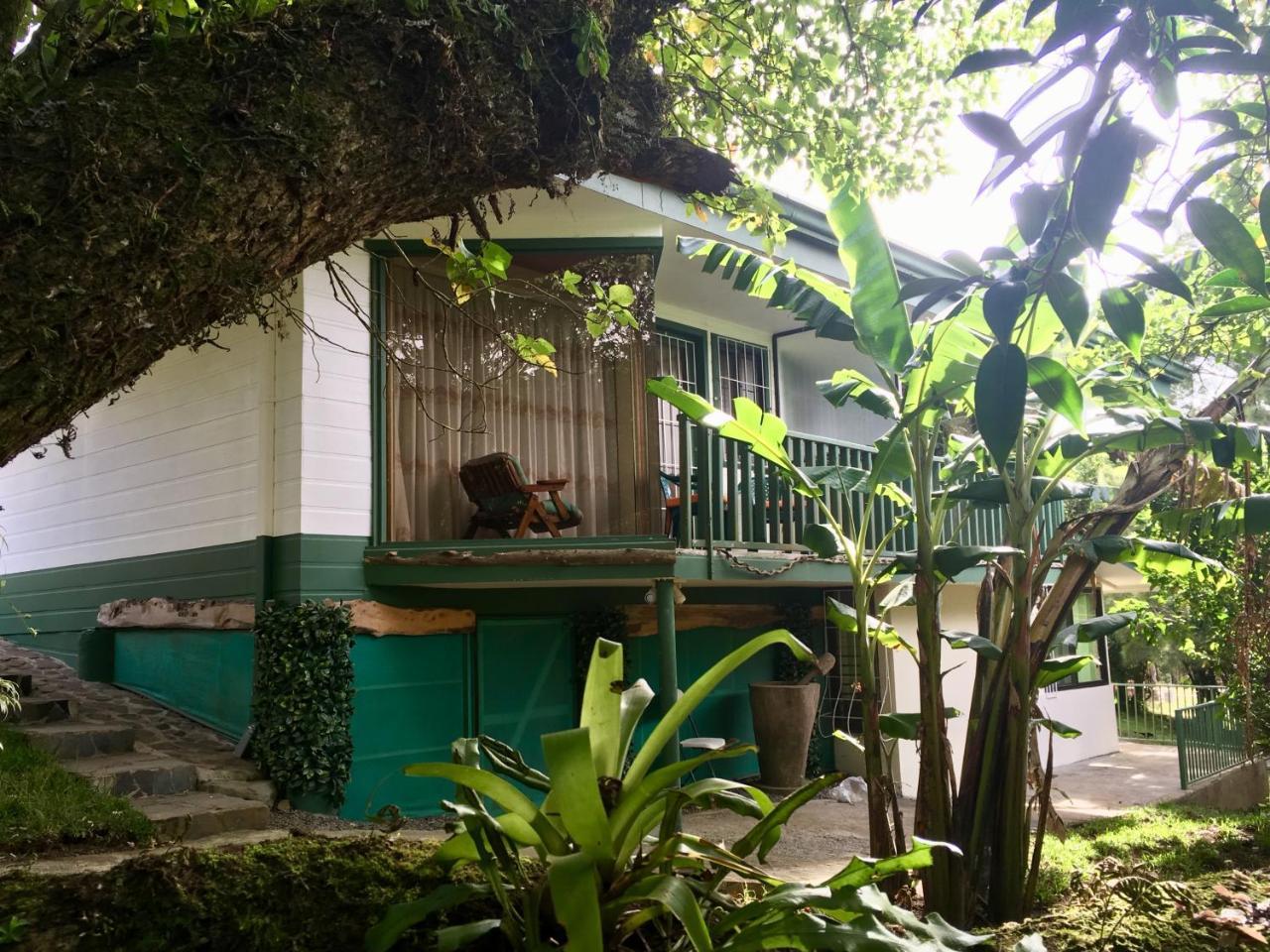 מונטה ורדה Paris Confort B&B מראה חיצוני תמונה