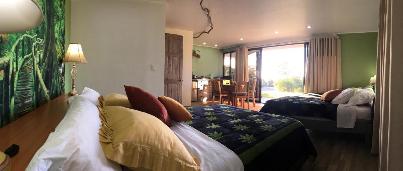 מונטה ורדה Paris Confort B&B מראה חיצוני תמונה